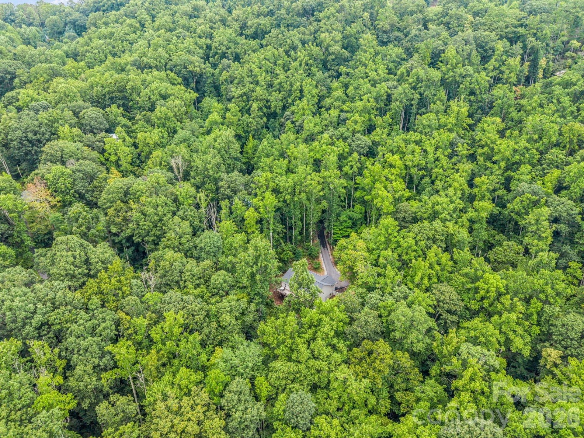180 Ridgeview Drive - Photo 40