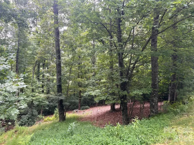 211 Tom Fazio Trace, Hendersonville, NC, 28739