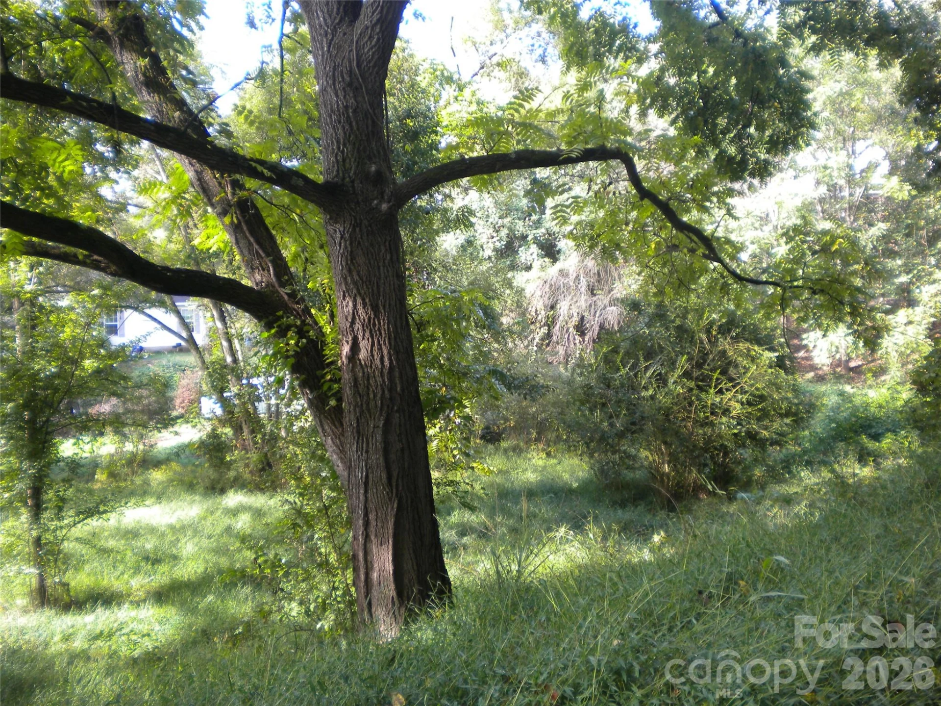 22 Hemlock Drive ##23-27 - Photo 9