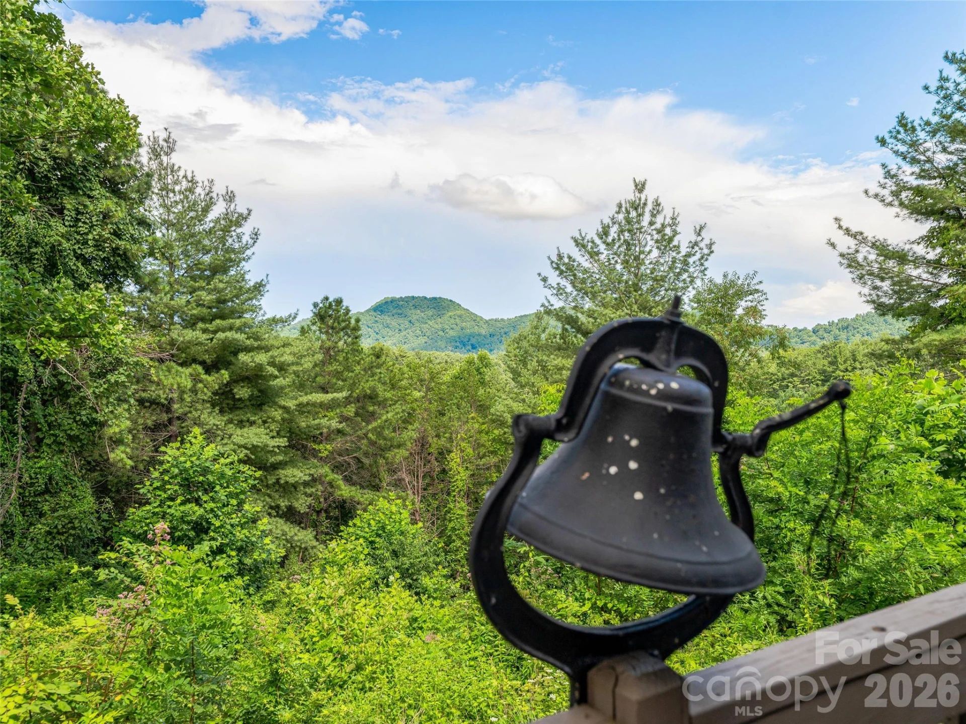 152 Worley Cove Road - Photo 48