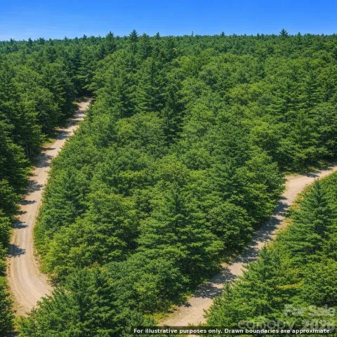 Lot 124 Trellis Drive, Nebo, NC, 28761