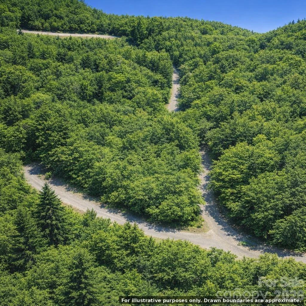 Lot 124 Trellis Drive - Photo 4