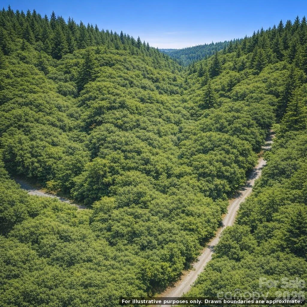 Lot 124 Trellis Drive - Photo 6