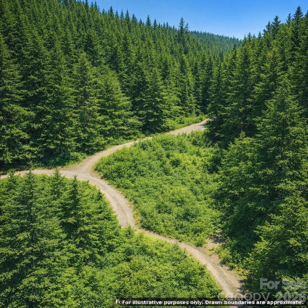 Lot 124 Trellis Drive - Photo 10