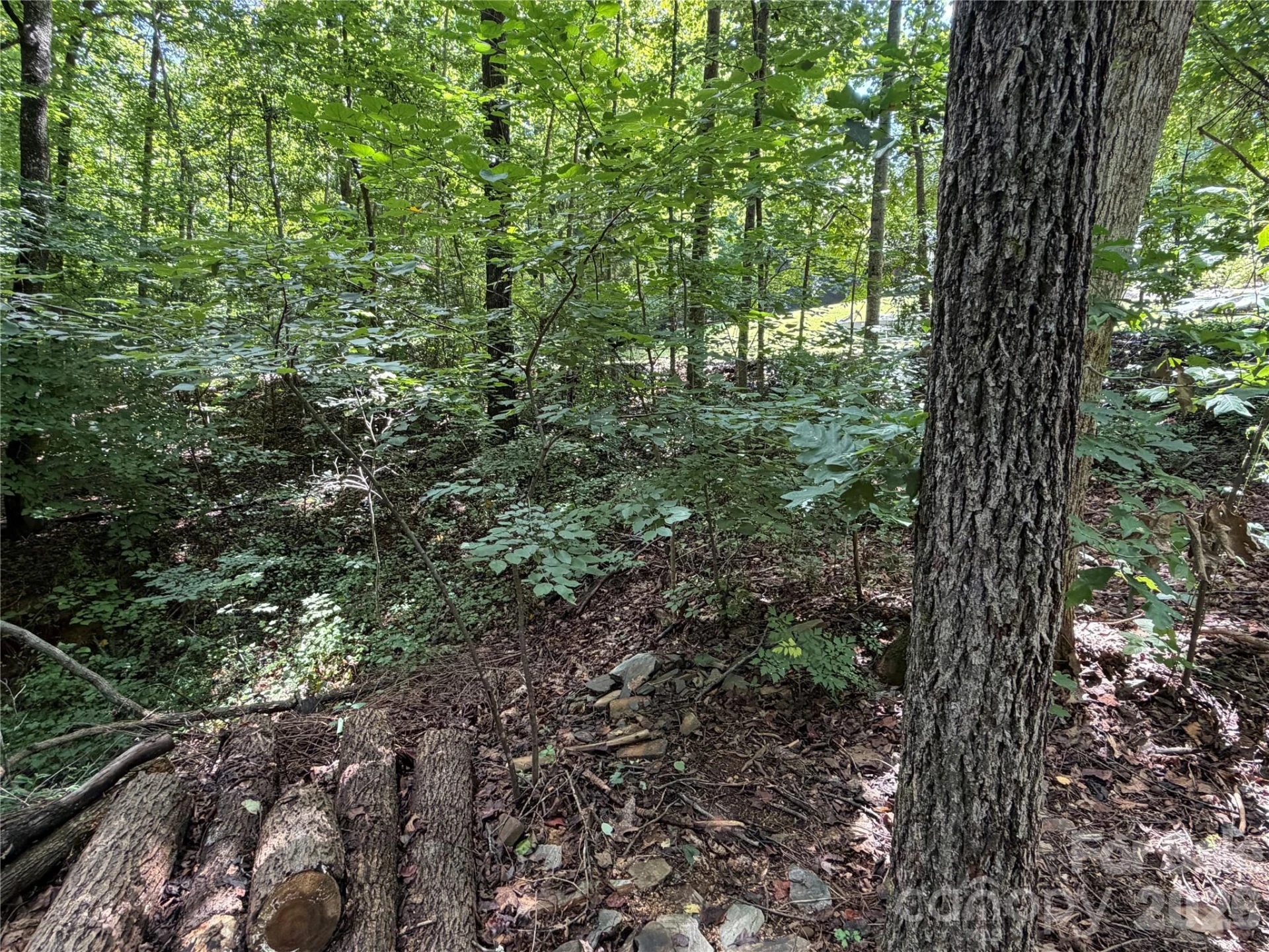 0 Beechtree Circle - Photo 3
