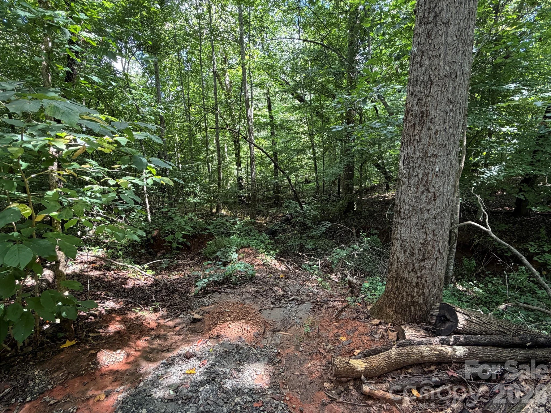0 Beechtree Circle - Photo 5