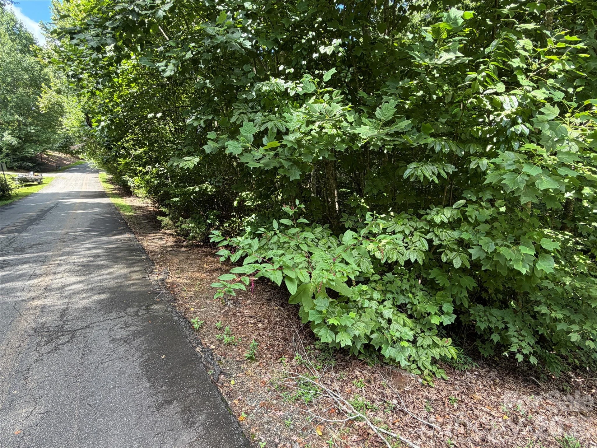 0 Beechtree Circle - Photo 8