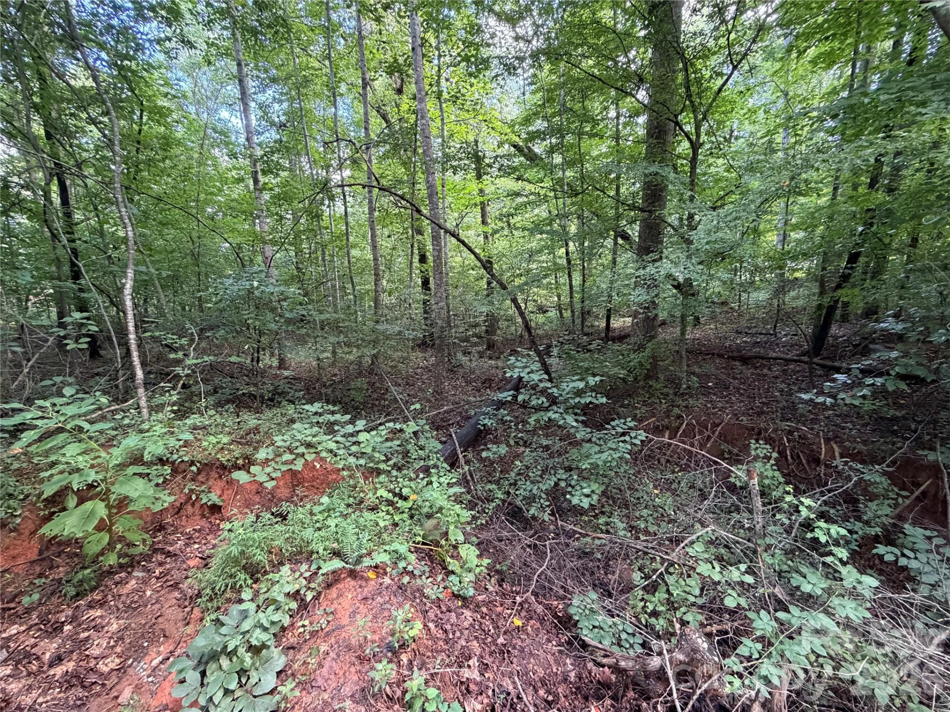 0 Beechtree Circle - Photo 9
