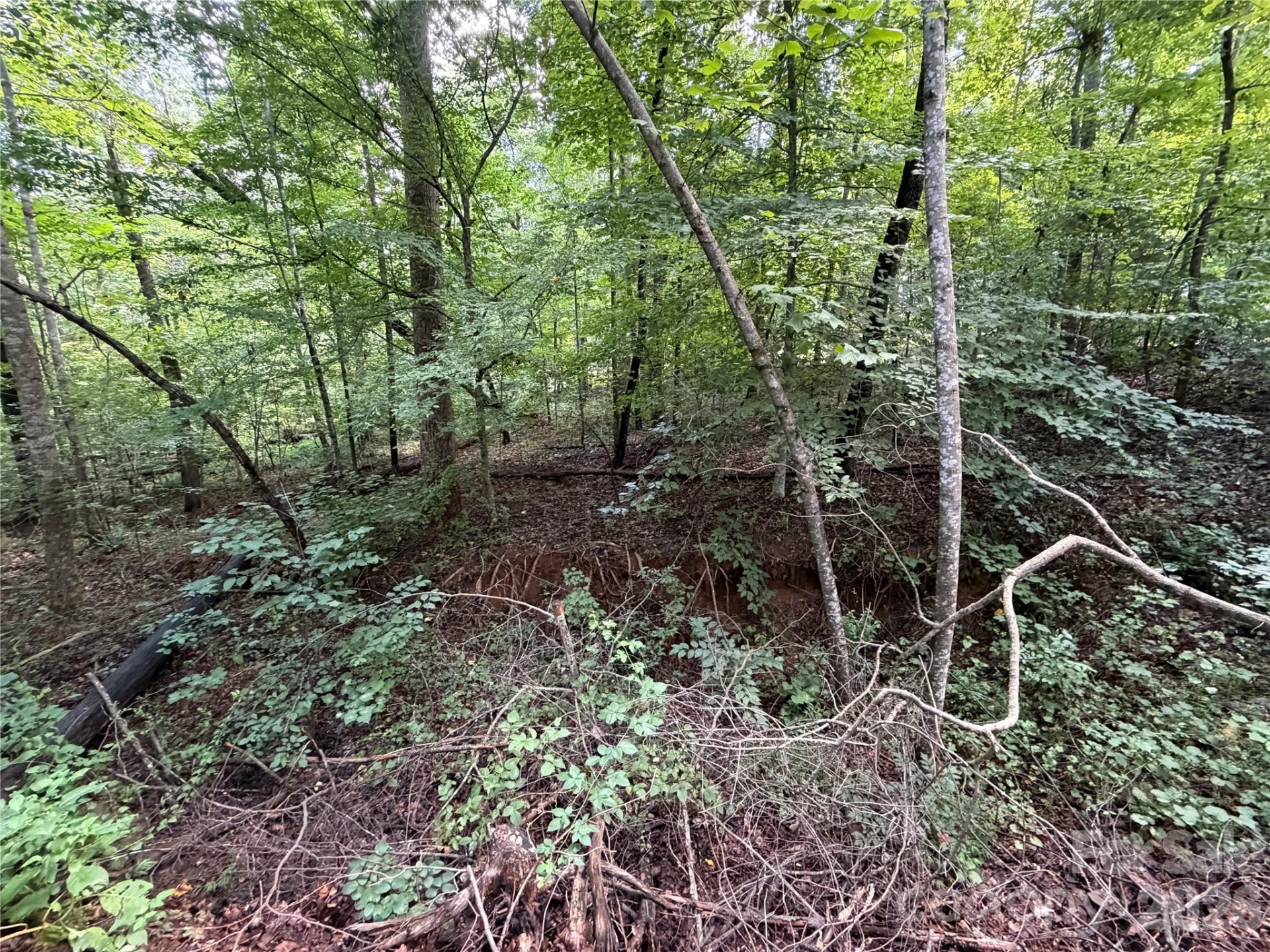 0 Beechtree Circle - Photo 10