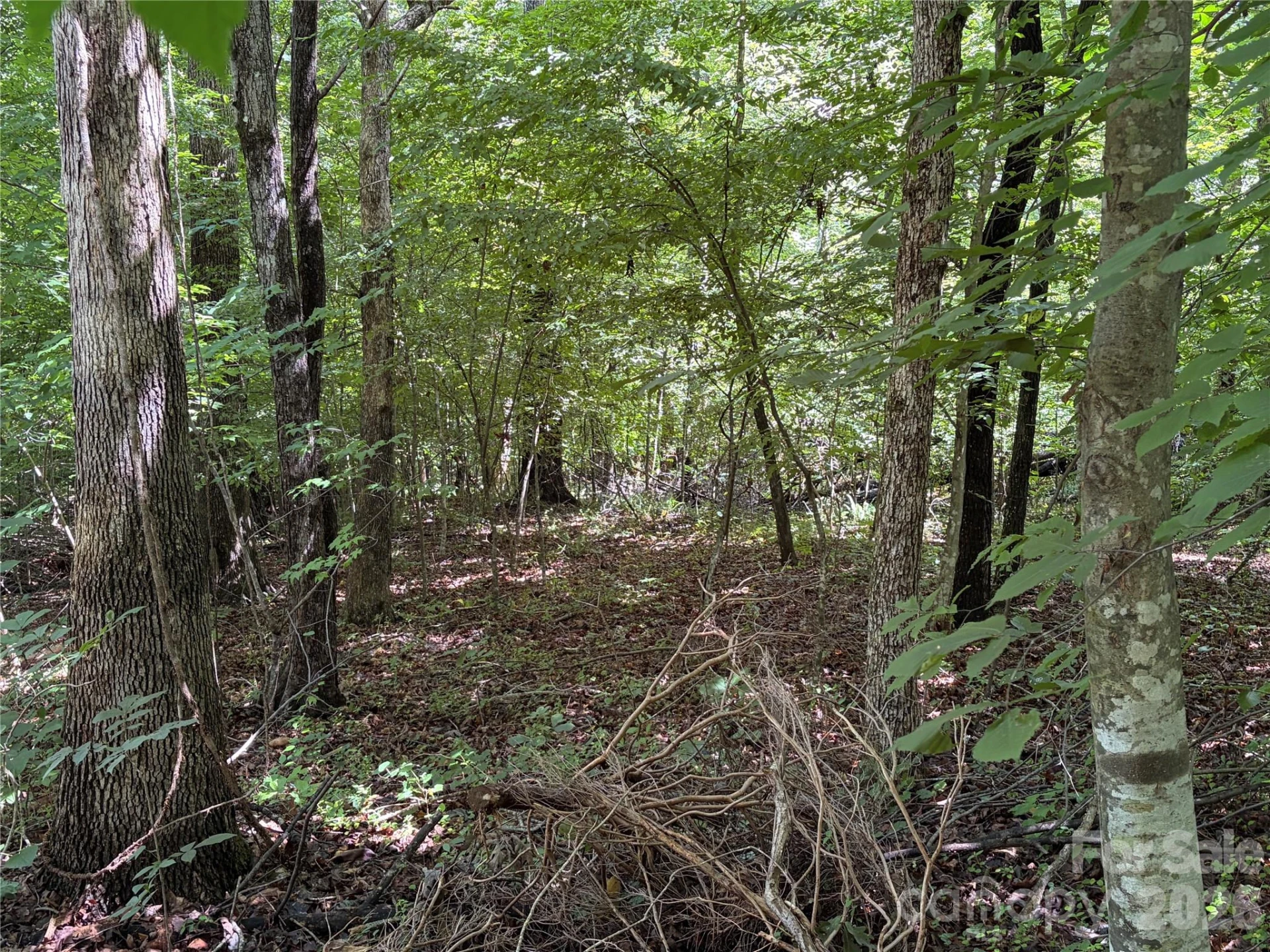 0 Beechtree Circle - Photo 11