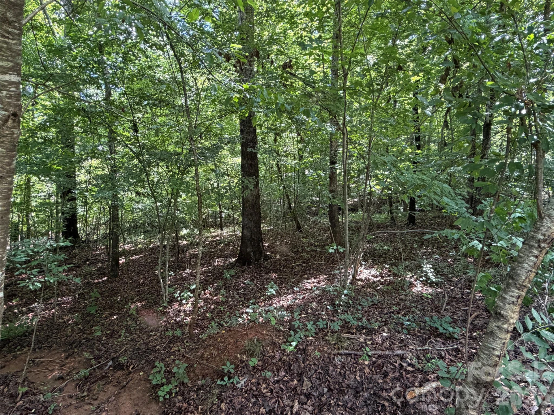 0 Beechtree Circle - Photo 12