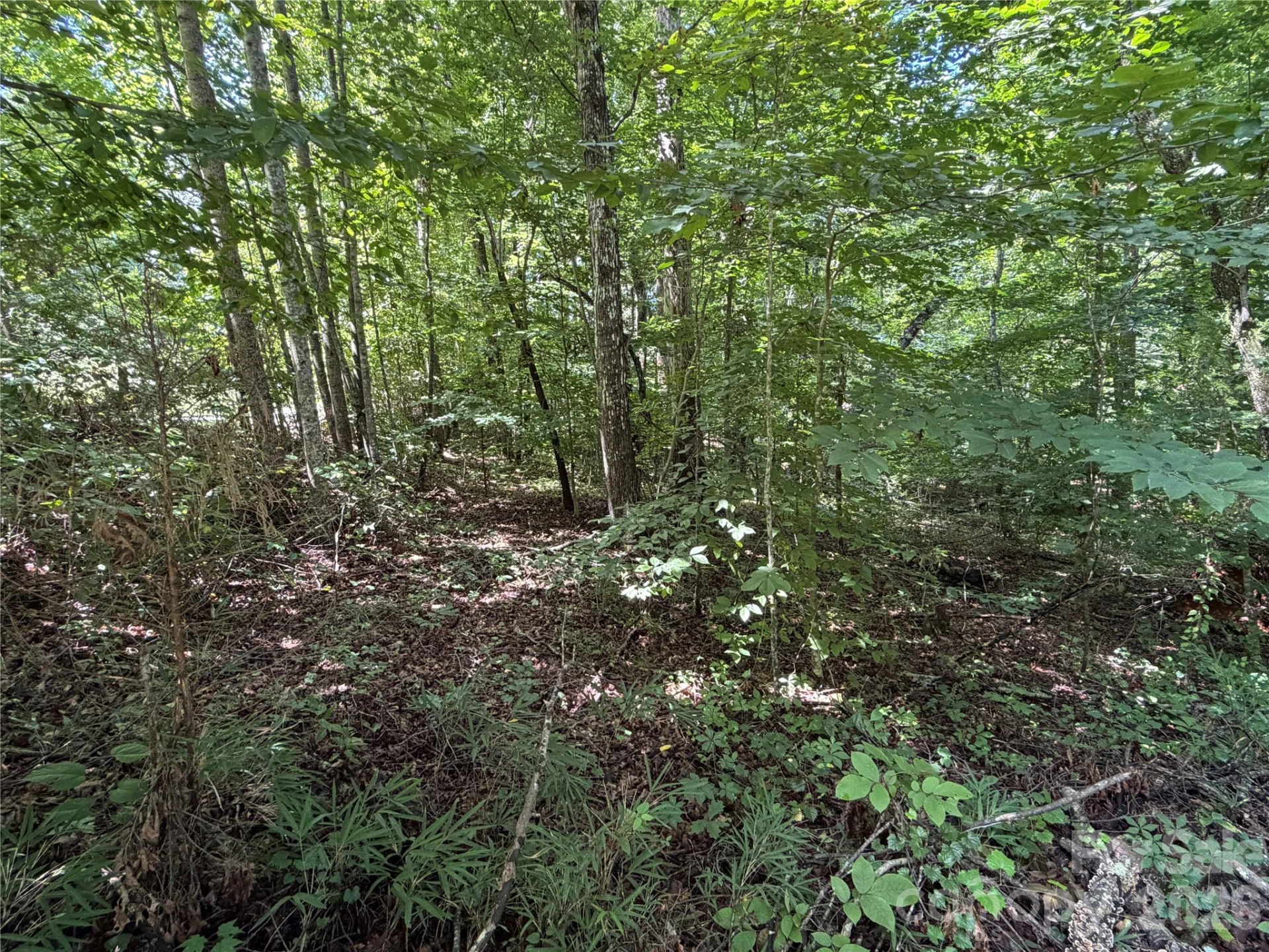 0 Beechtree Circle - Photo 13
