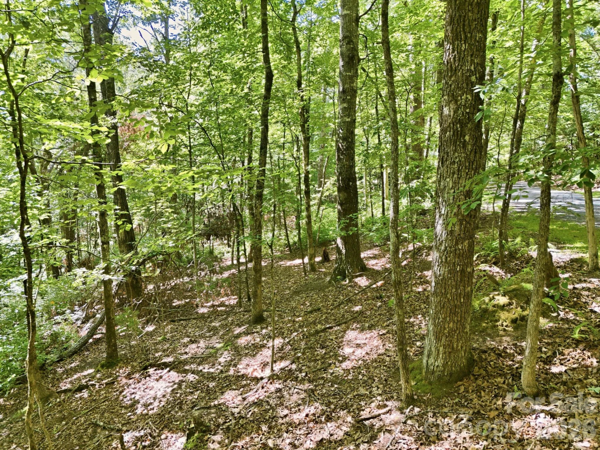 0 Mulberry Circle #J-104 - Photo 5