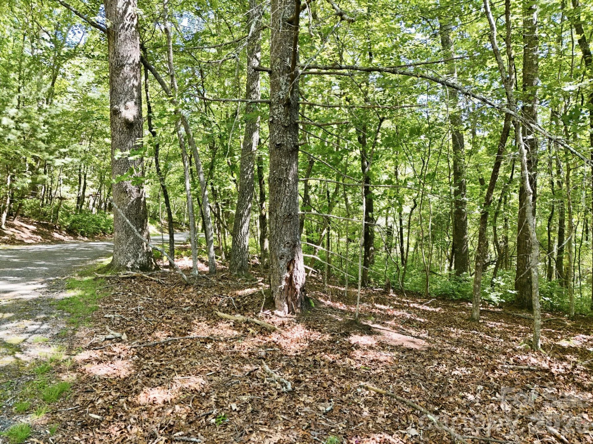 0 Mulberry Circle #J-104 - Photo 12
