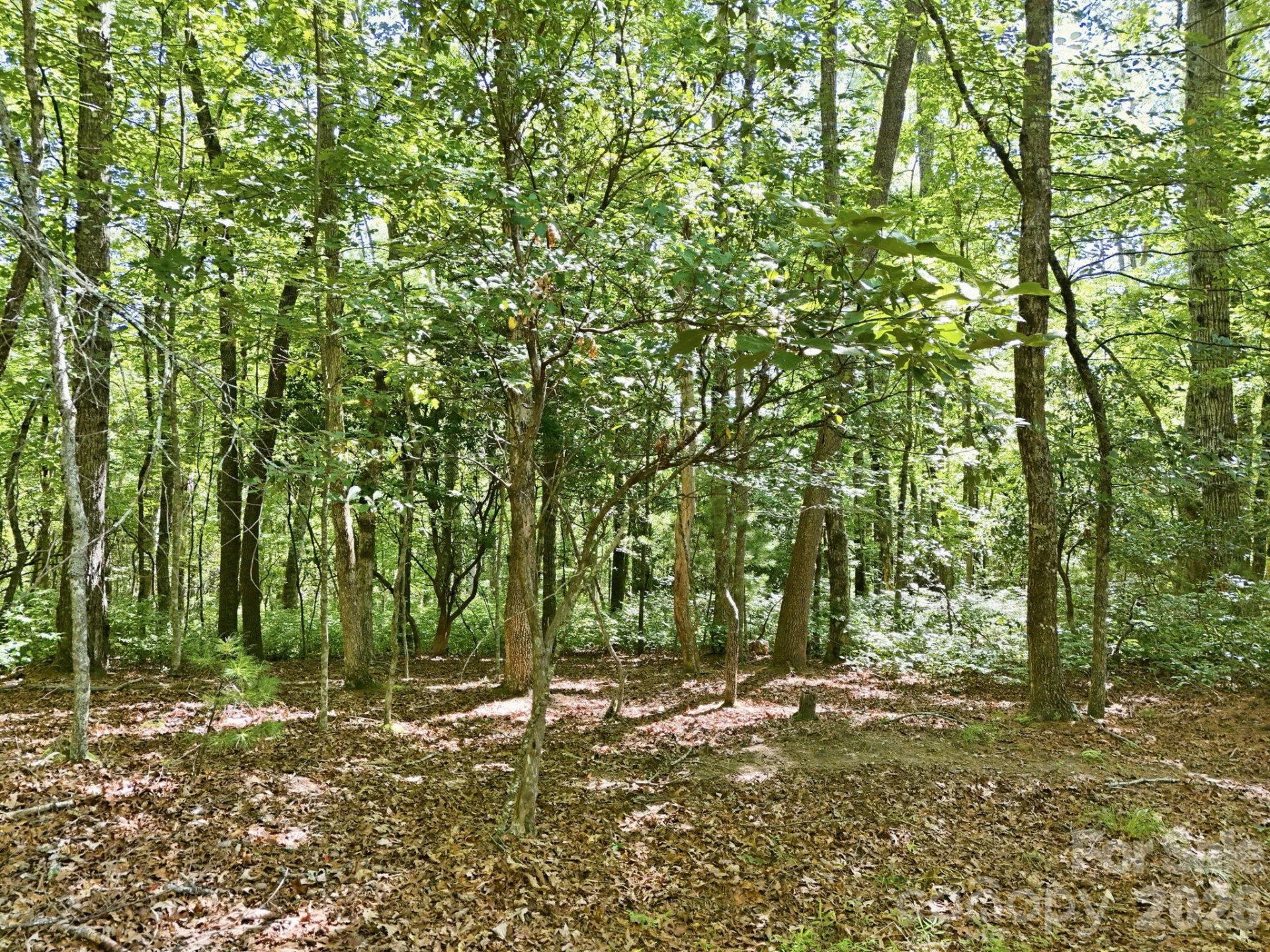 0 Mulberry Circle #J-104 - Photo 13
