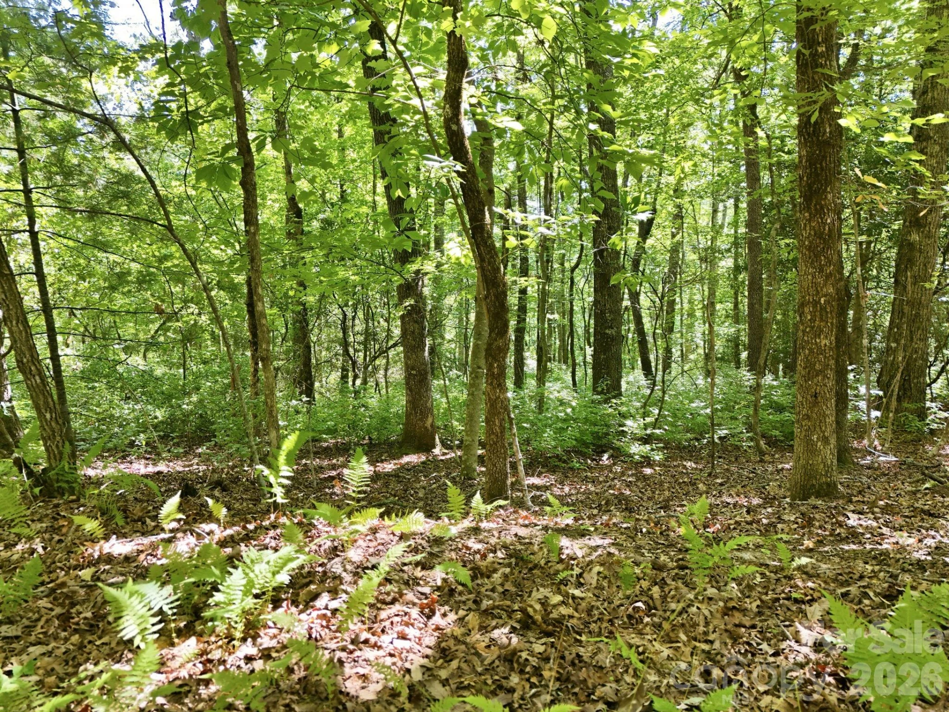 0 Mulberry Circle #J-104 - Photo 14