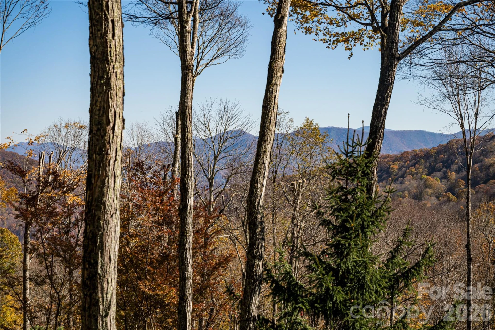 580 Flying Hawk Trail - Photo 40