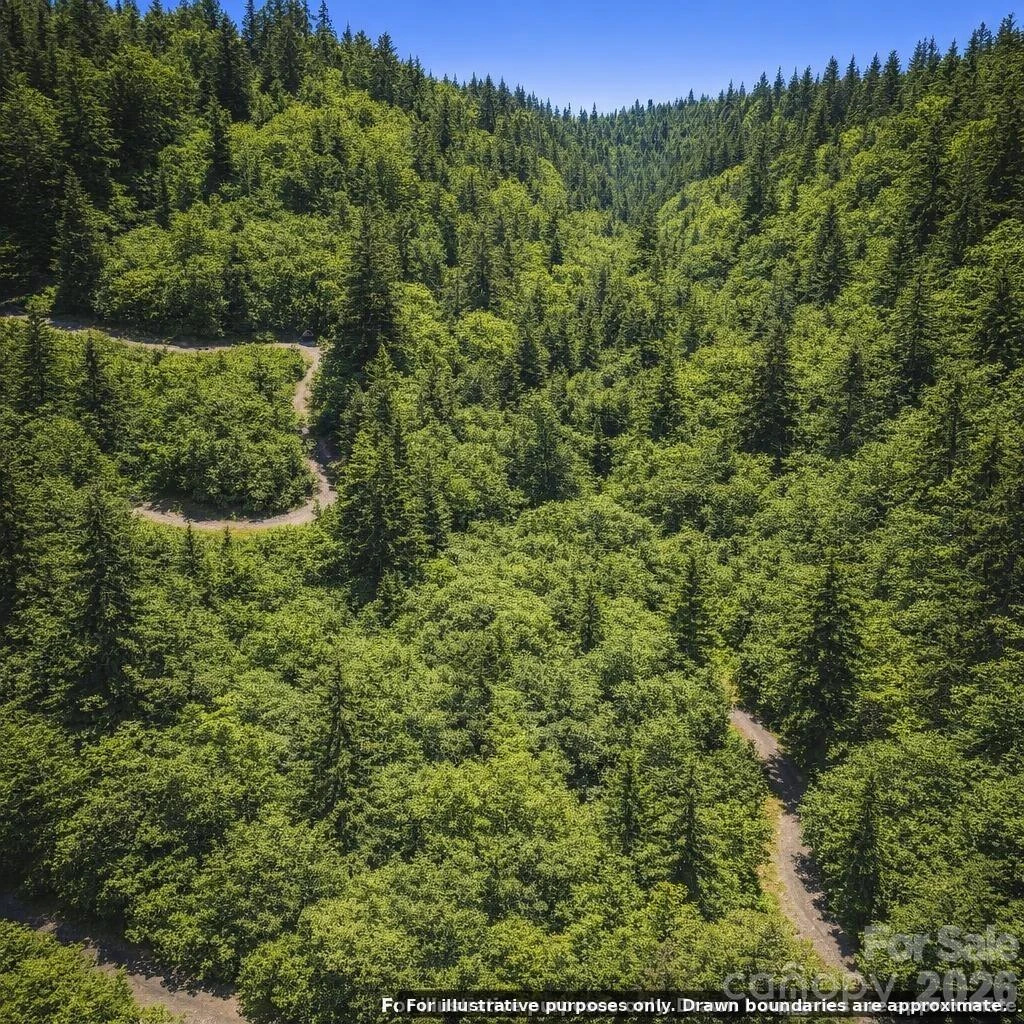 Lot 130 Trellis Drive - Photo 4