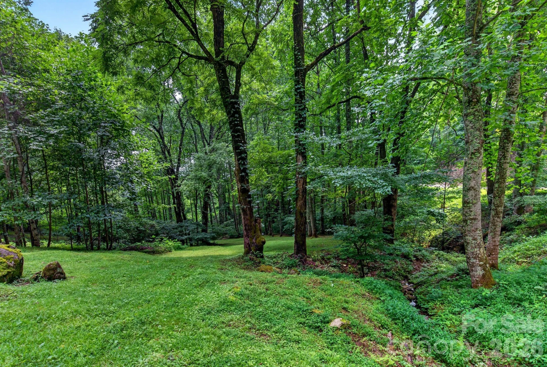 142 Marquis Lane - Photo 6