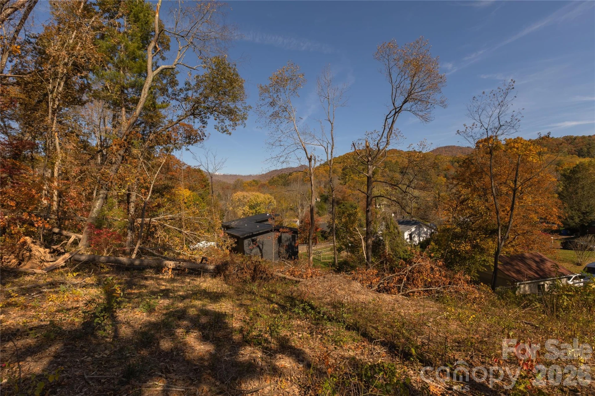 13 Bassett Road - Photo 2