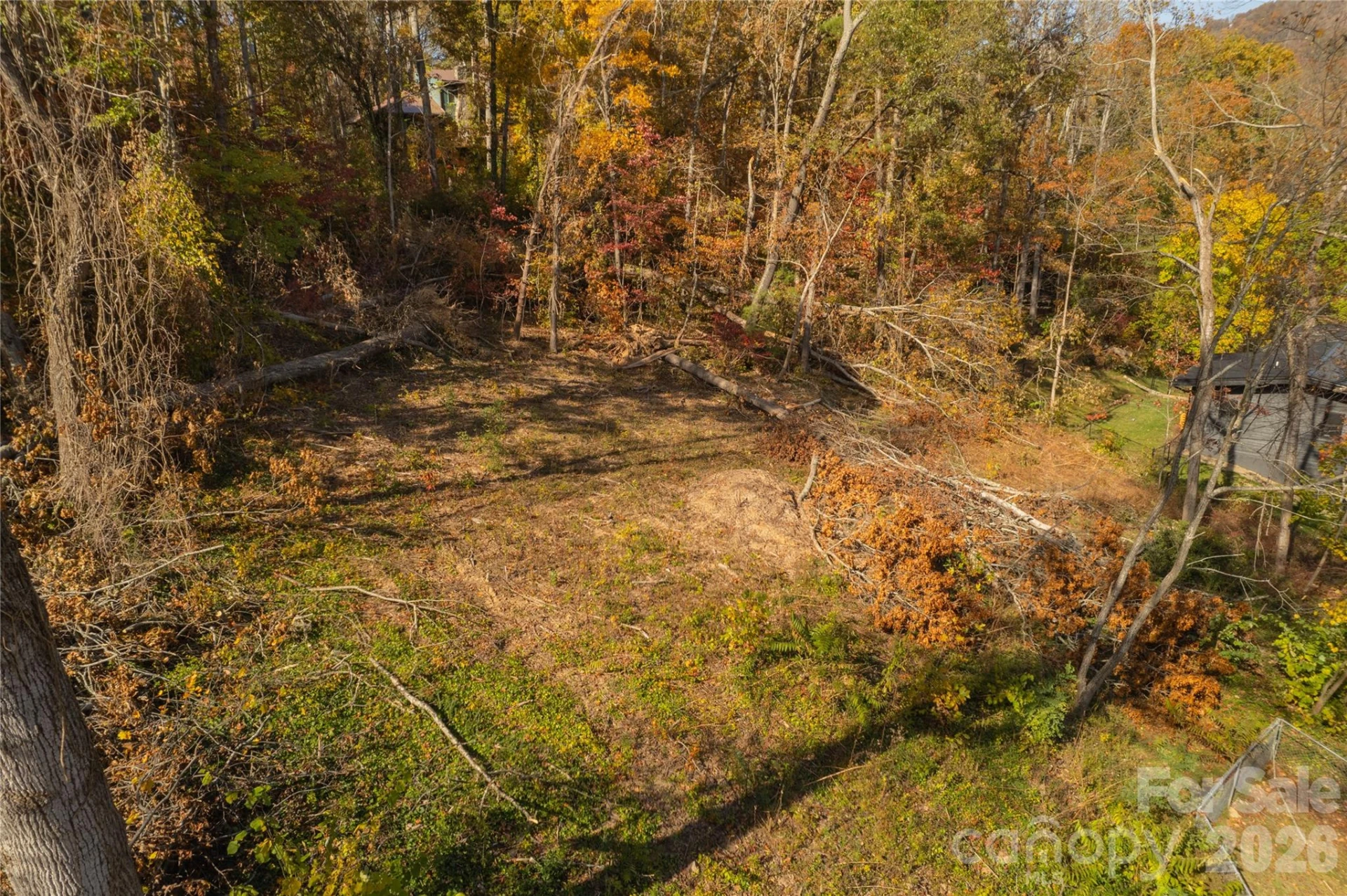 13 Bassett Road - Photo 6