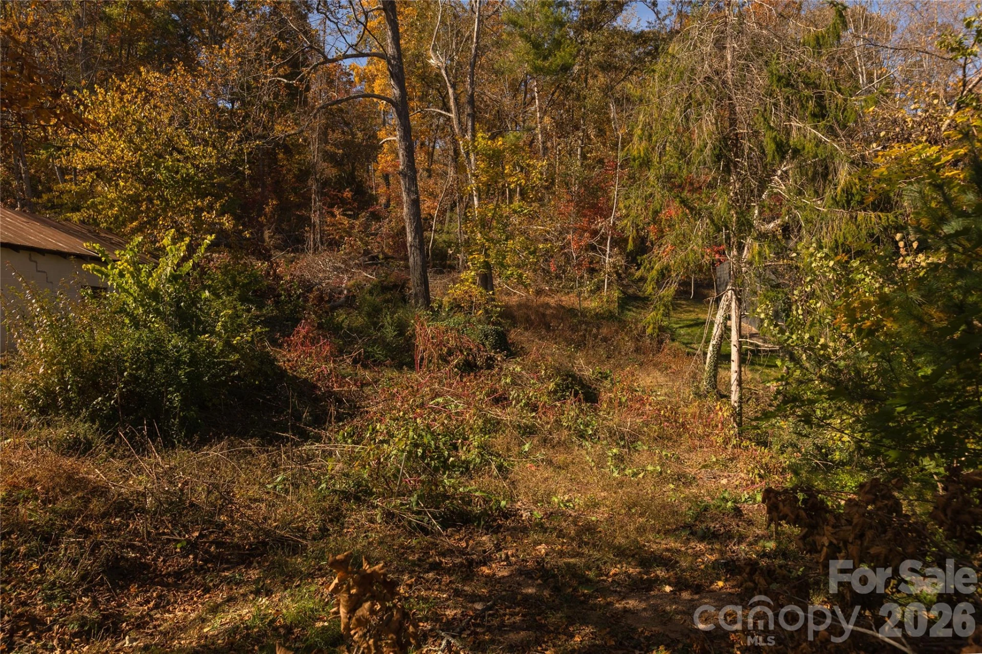 13 Bassett Road - Photo 11