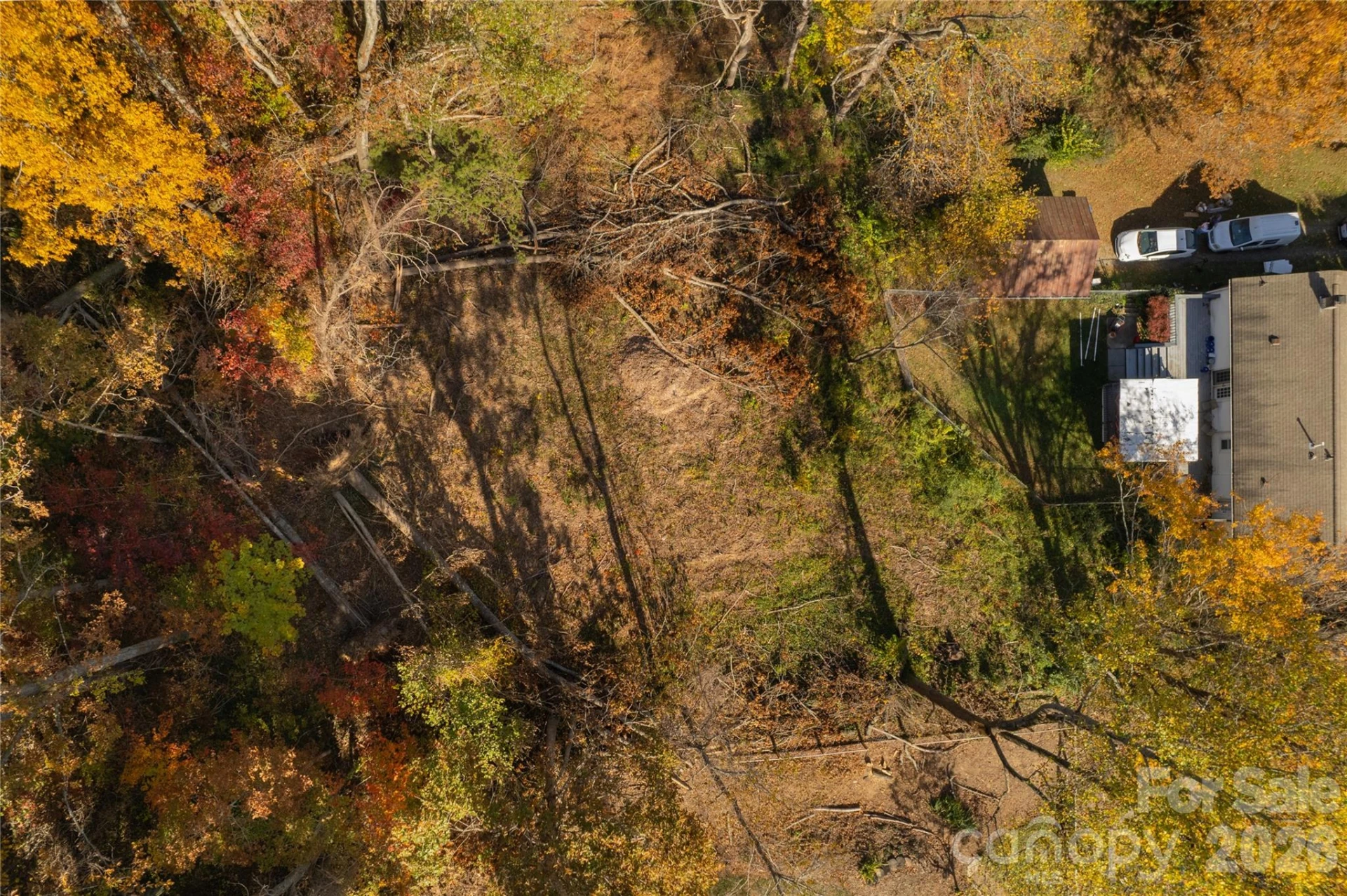 13 Bassett Road - Photo 16