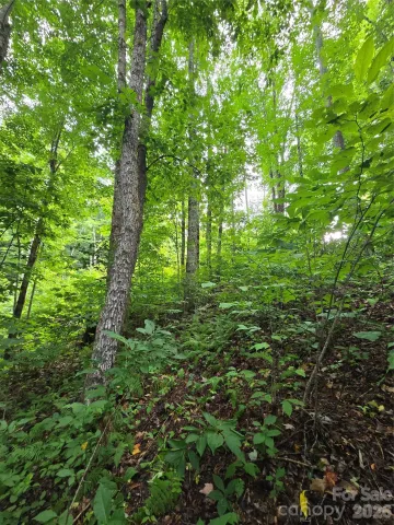 108 Tenderfoot Trail, Maggie Valley, NC, 28751