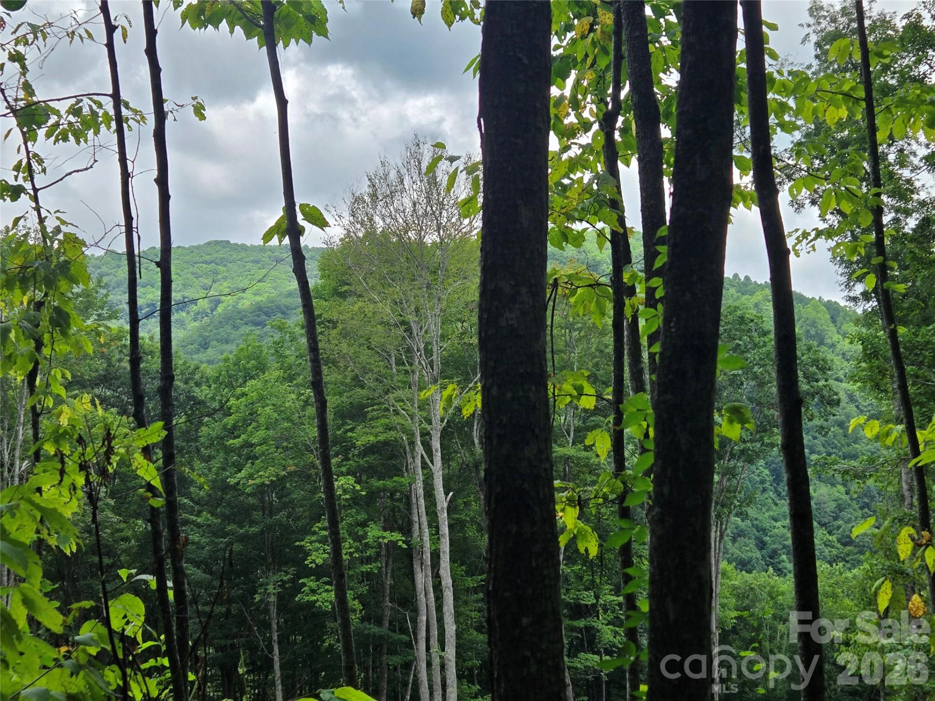 108 Tenderfoot Trail #108 & 109 - Photo 3
