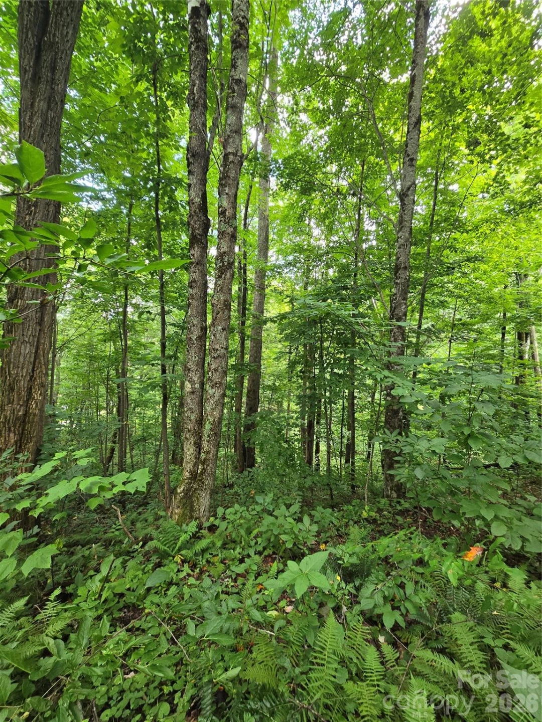108 Tenderfoot Trail #108 & 109 - Photo 13