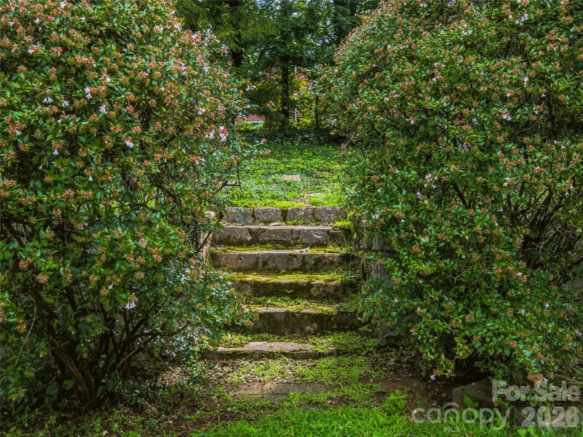 29 Westall Avenue - Photo 27