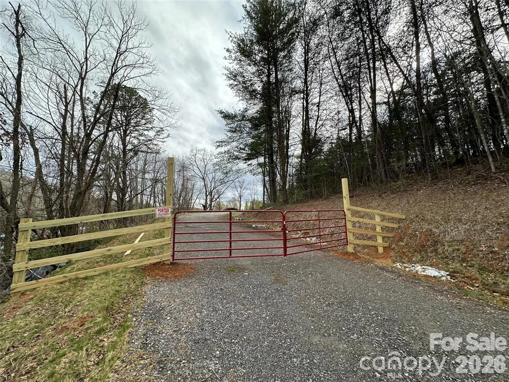 3132 Cane Creek Road - Photo 5