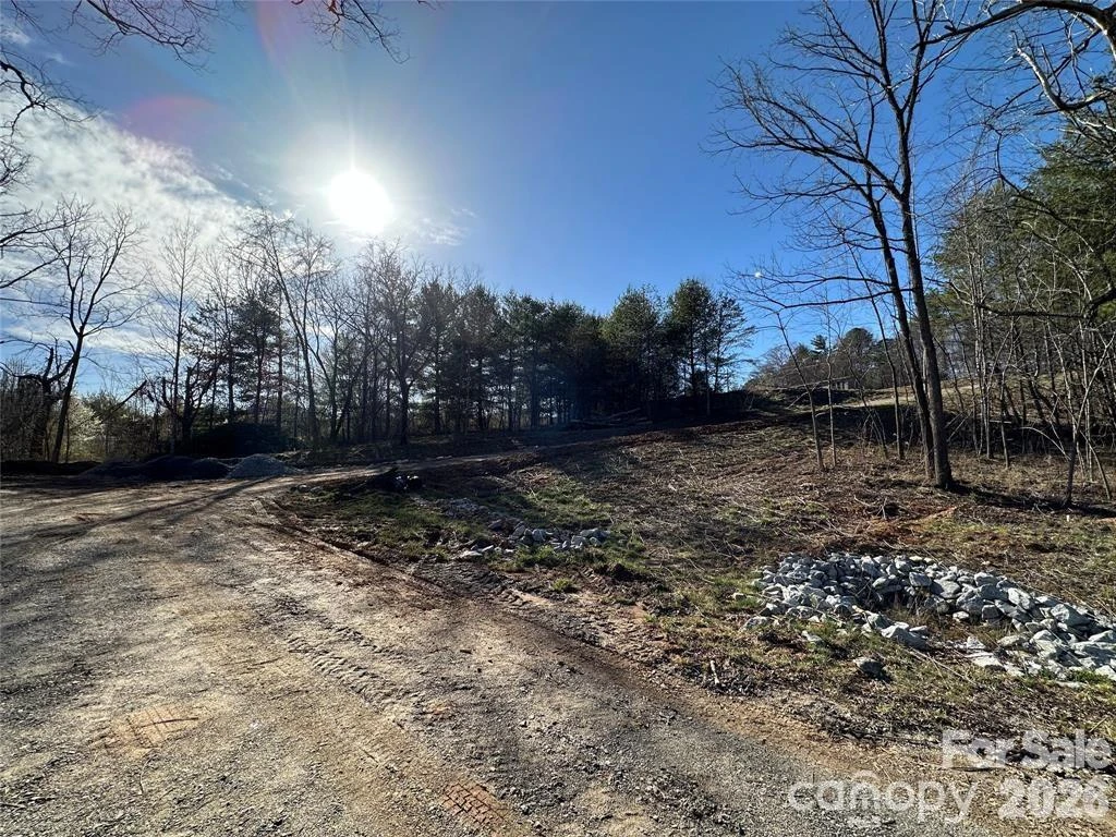 3132 Cane Creek Road - Photo 6