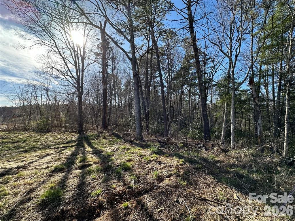 3132 Cane Creek Road - Photo 13
