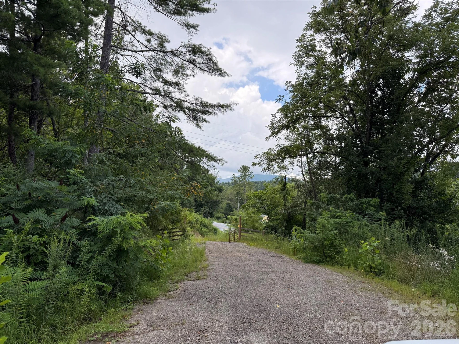 3132 Cane Creek Road - Photo 18