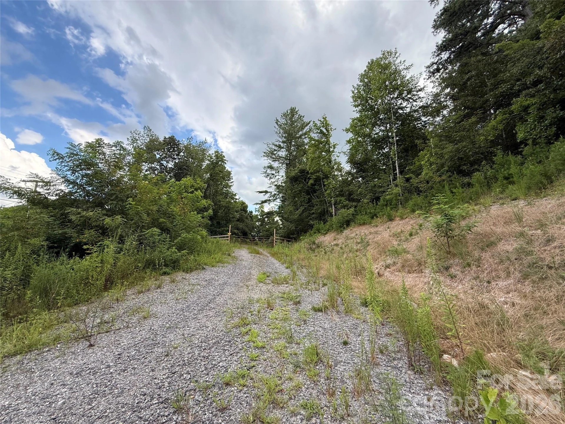 3132 Cane Creek Road - Photo 19