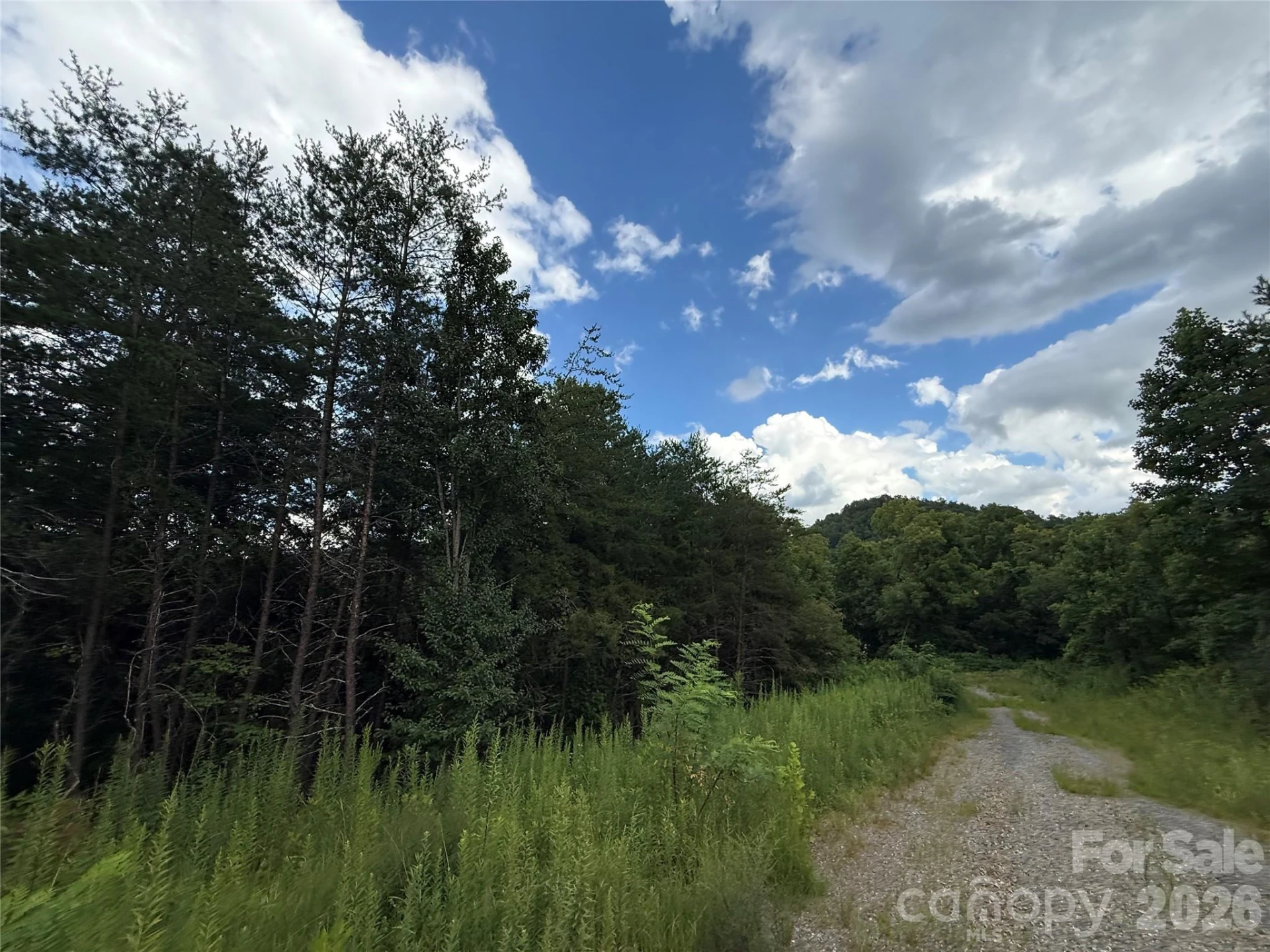 3132 Cane Creek Road - Photo 20