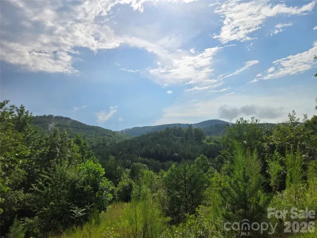 0 Pinegrove Drive, Bostic, NC, 28018