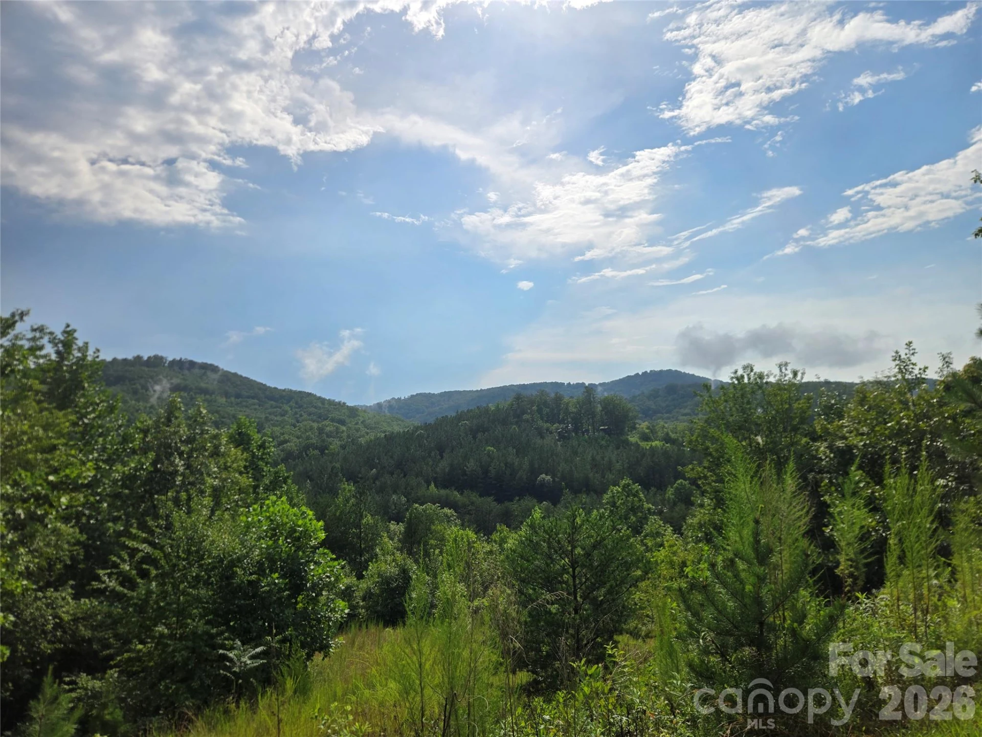 0 Pinegrove Drive #161