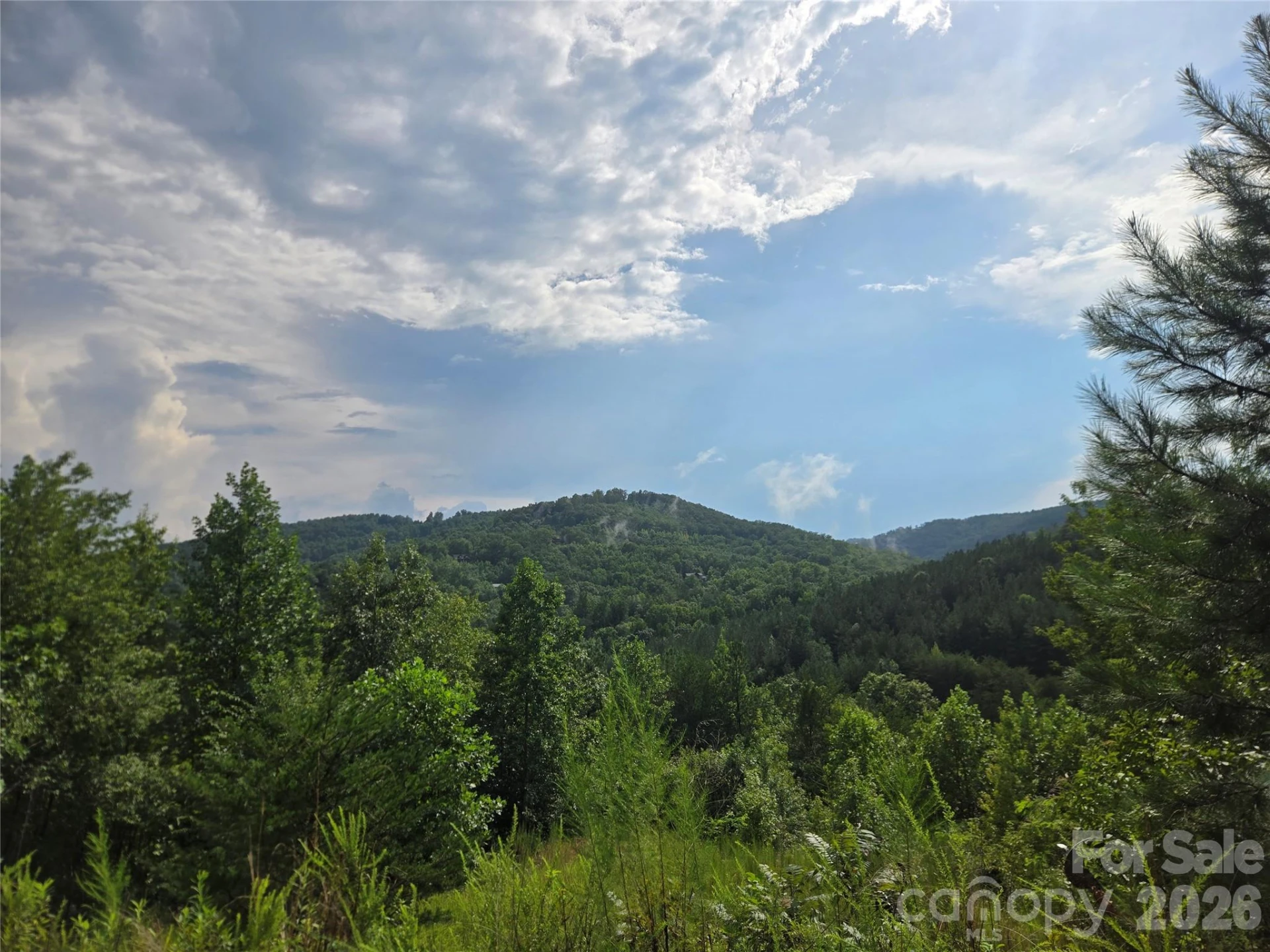 0 Pinegrove Drive #161 - Photo 2