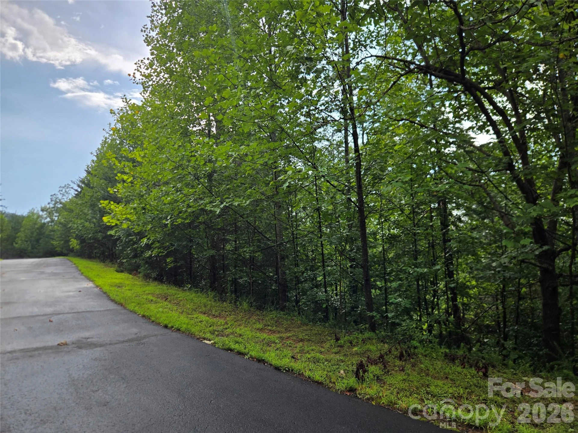 0 Pinegrove Drive #161 - Photo 3