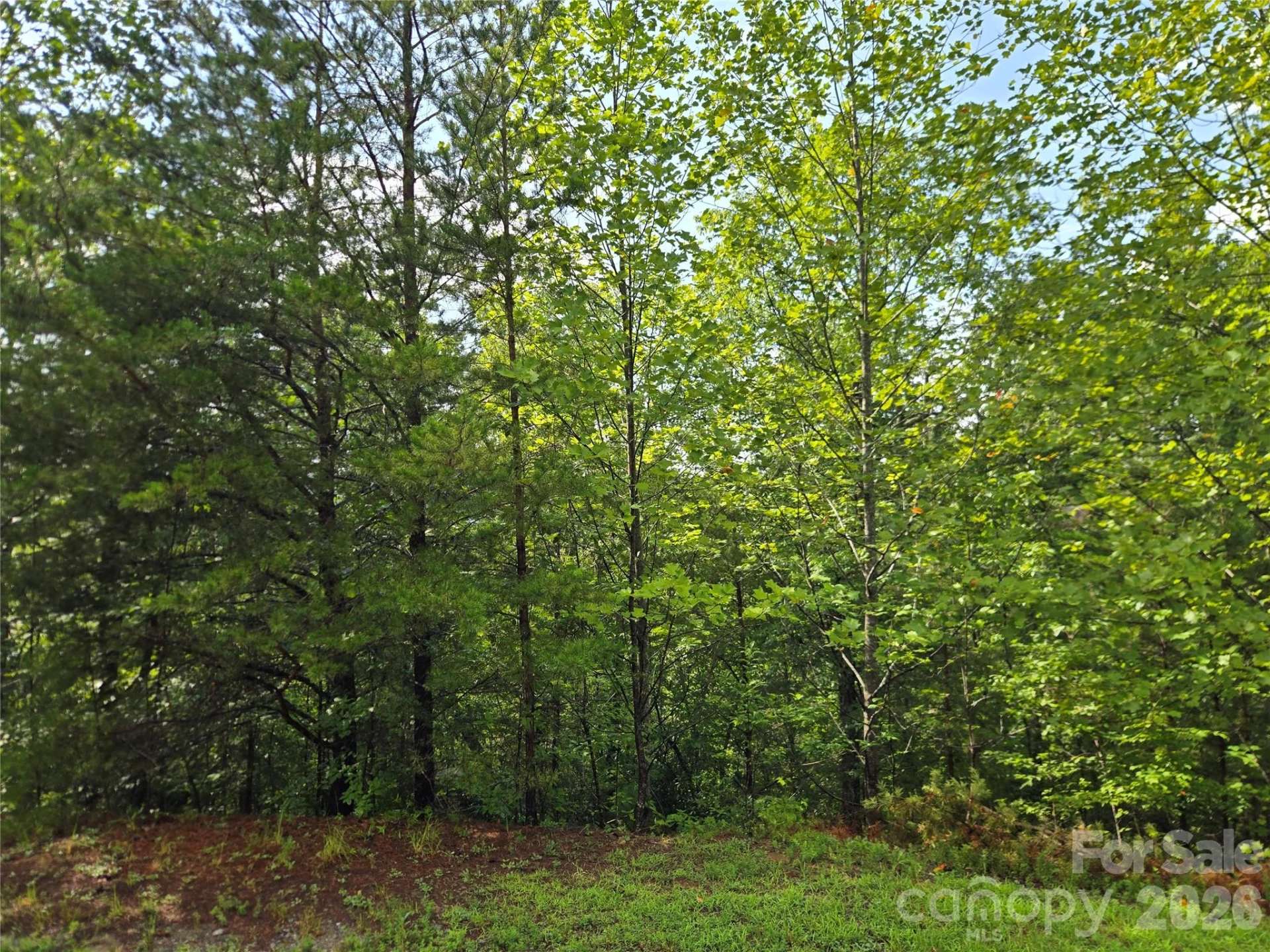 0 Pinegrove Drive #161 - Photo 4