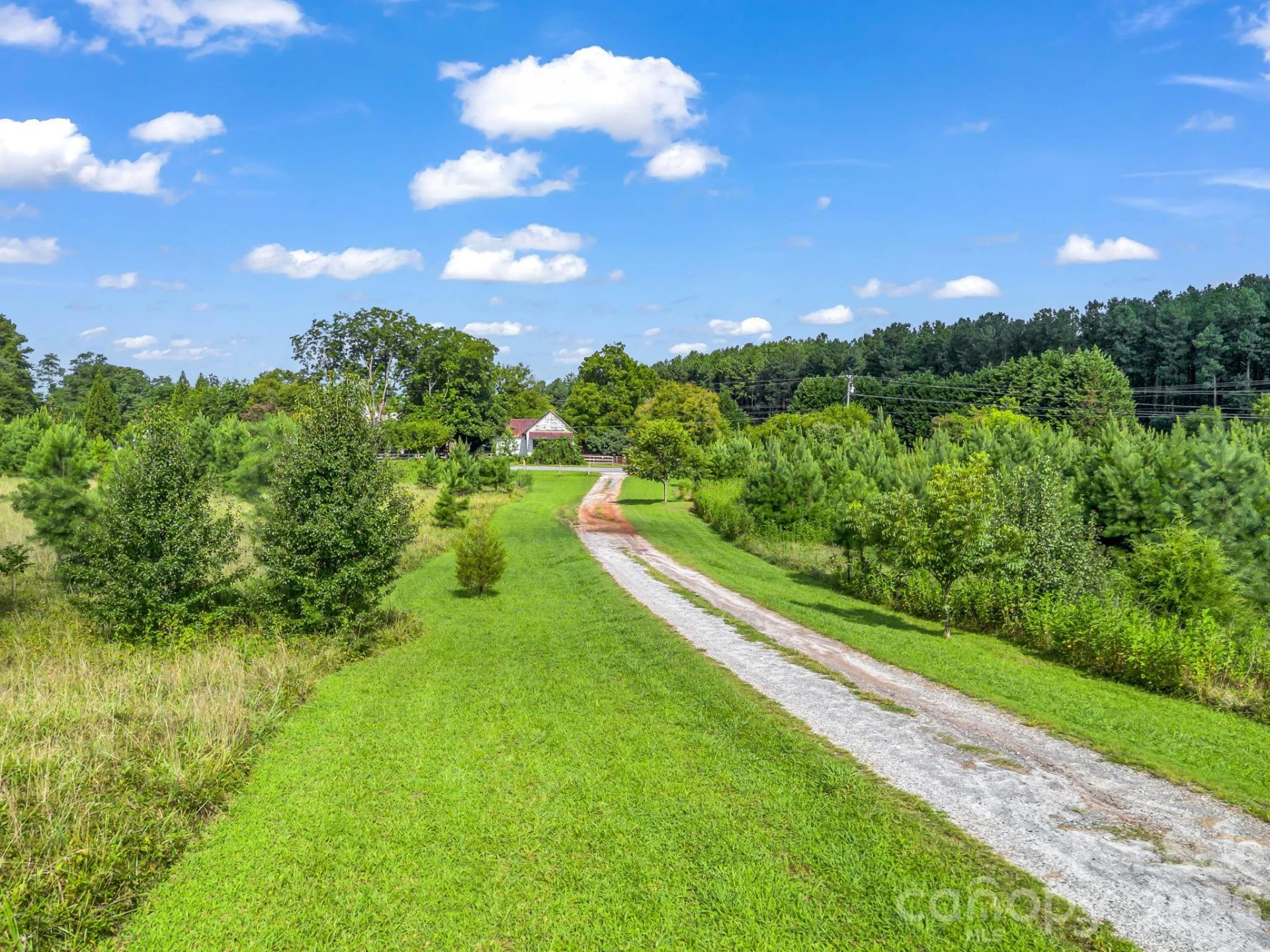 6301 Poors Ford Road - Photo 22