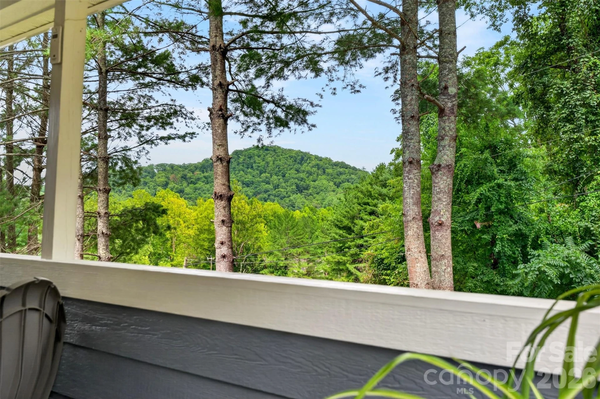 310 Magnolia Ridge Road - Photo 39