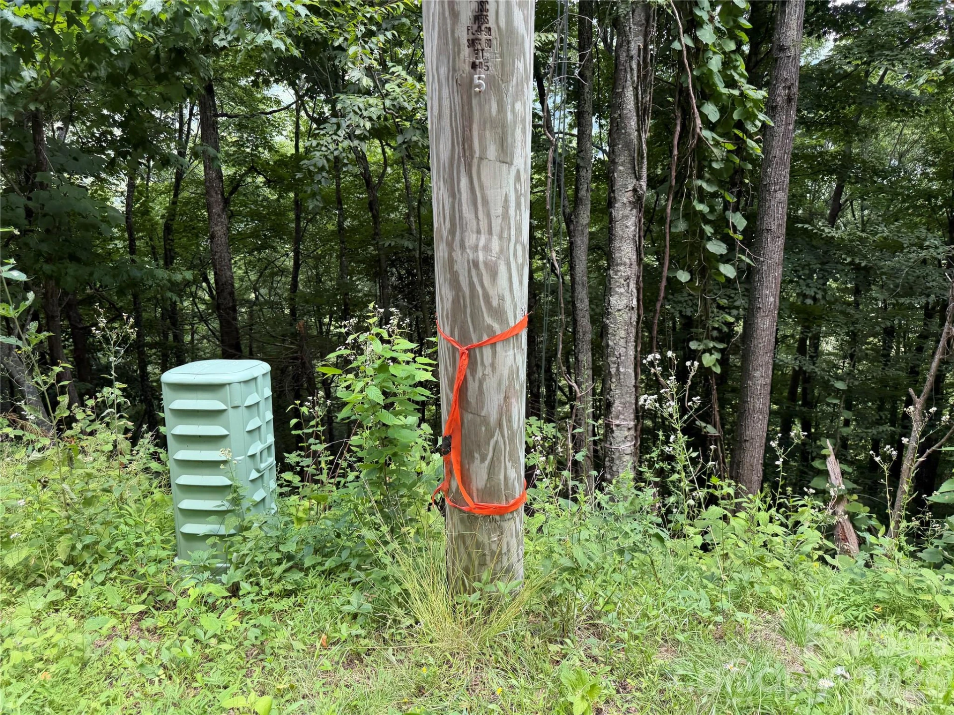 0000 Chimney Ridge Trail - Photo 2