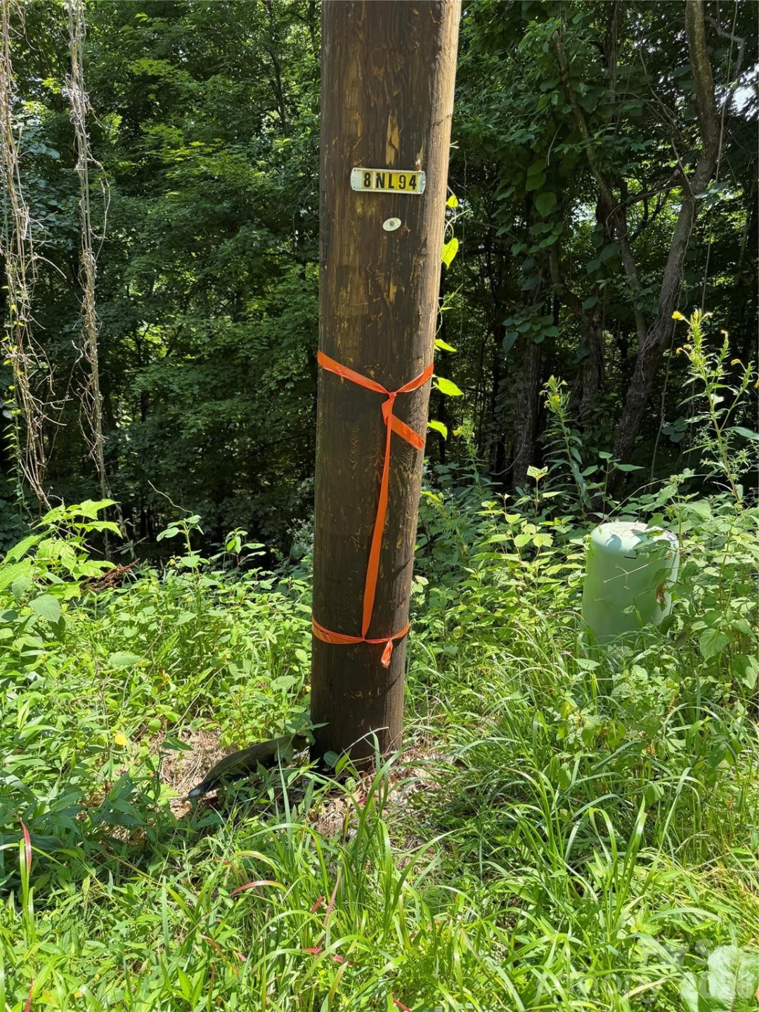 0000 Chimney Ridge Trail - Photo 3