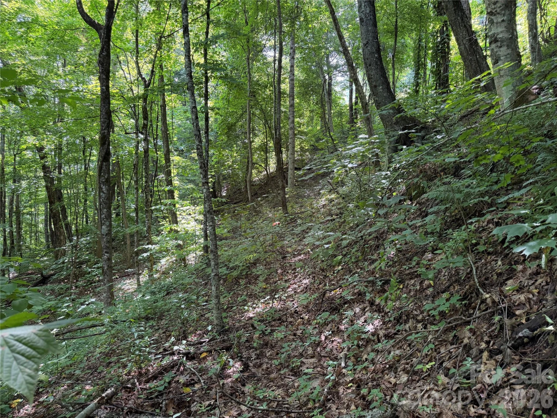 0000 Chimney Ridge Trail - Photo 4