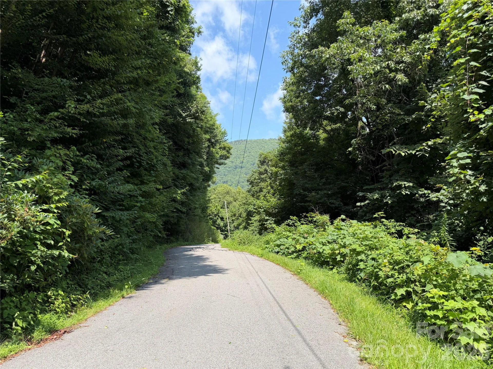 0000 Chimney Ridge Trail - Photo 5