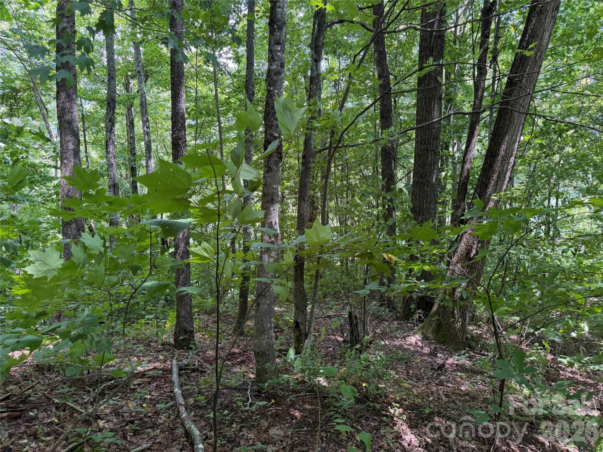 0000 Chimney Ridge Trail - Photo 9