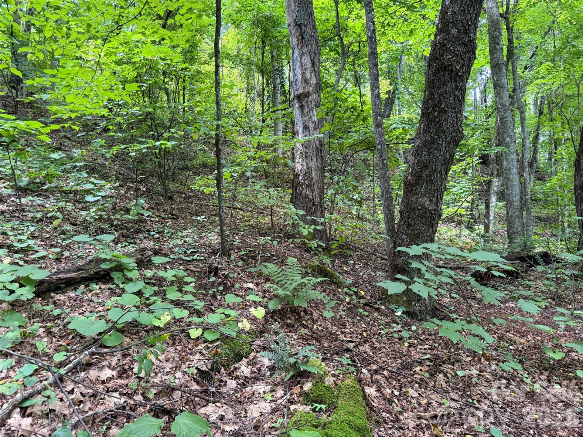 0000 Chimney Ridge Trail - Photo 11
